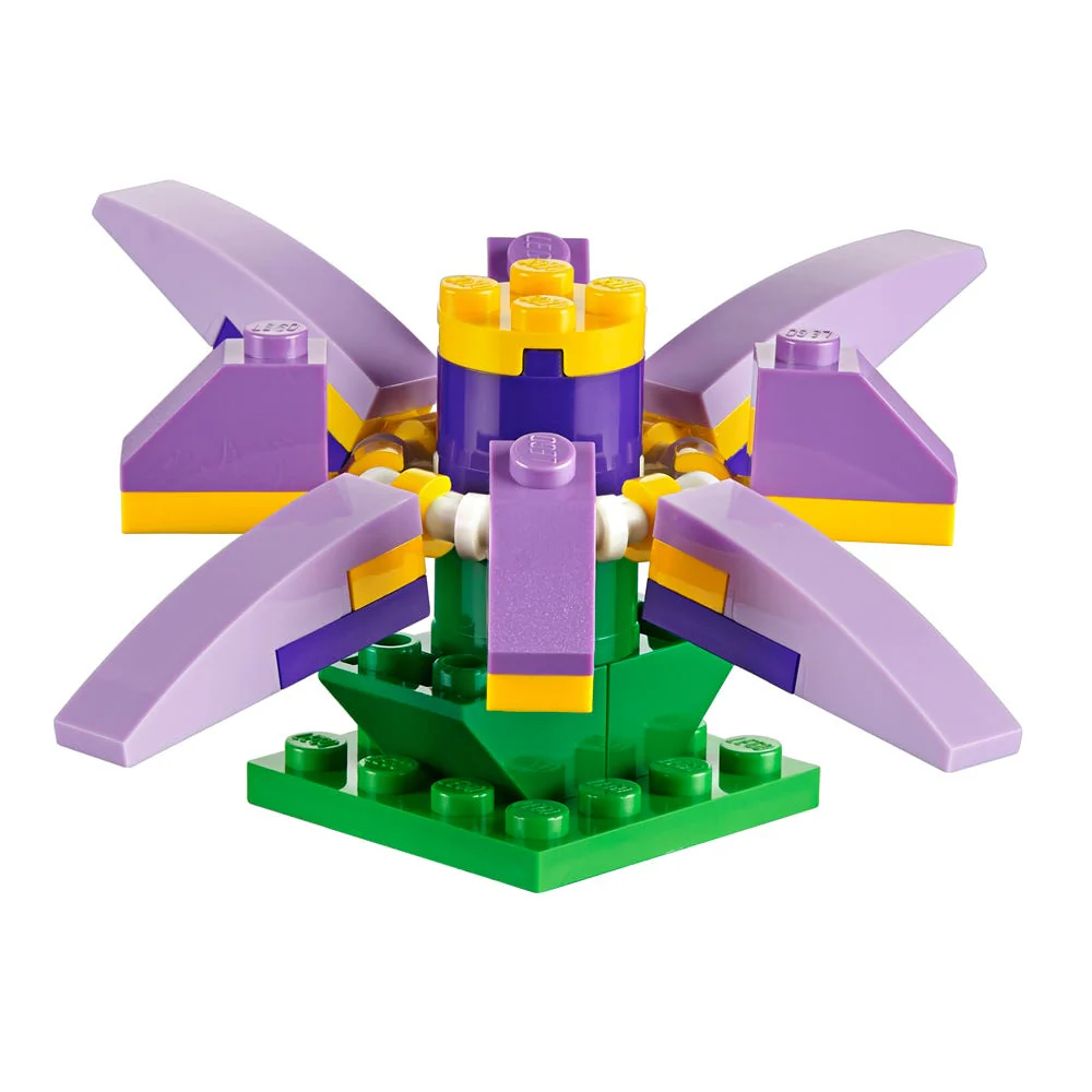 720240527-4181-bafbpn.png