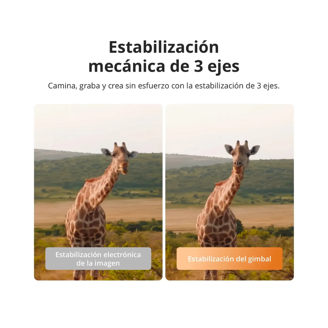 standard_resolution-46.png